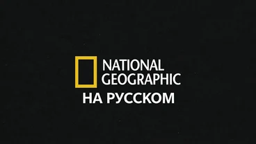 National Geographic — телеканал документальных фильмов о природе и науке